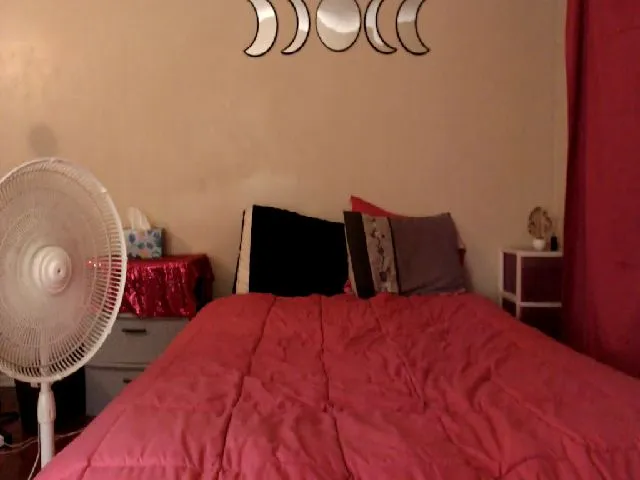 Live sex webcam photo for NightxLight #263549969