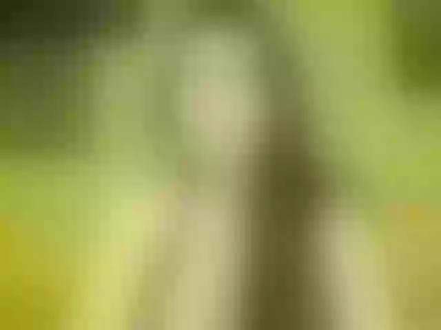 Live sex webcam photo for playboycr #240888992