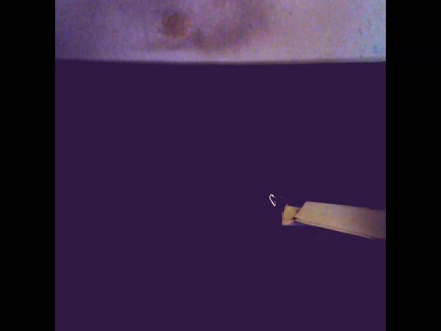 Live sex webcam photo for Sexygeny #259825687