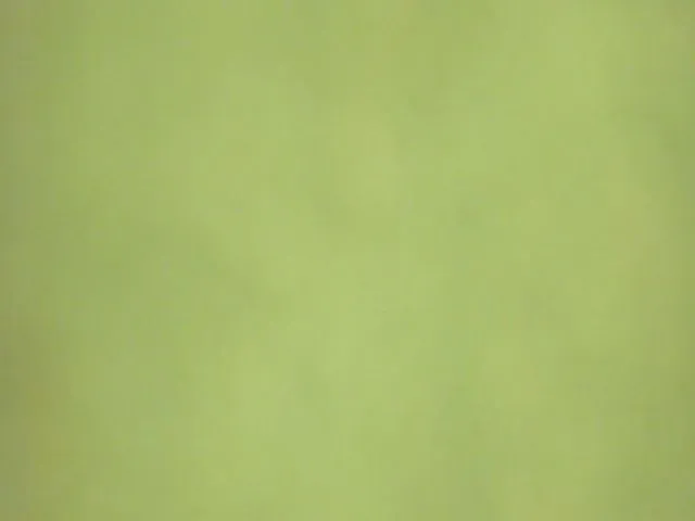 Live sex webcam photo for A11yson #257144804