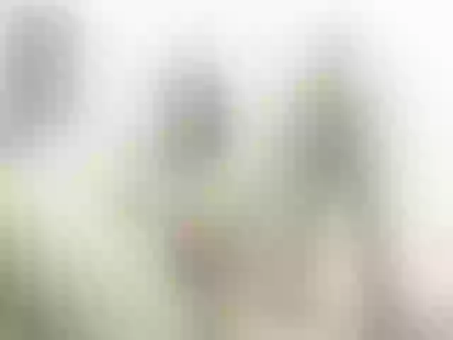 Live sex webcam photo for KattyFuck #255396052