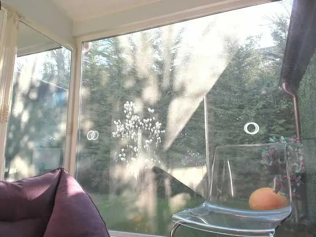 Live sex webcam photo for AlisonKate #241349528