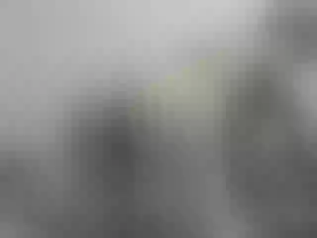 Live sex webcam photo for Nymphaea #240981509