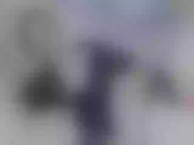 Live sex webcam photo for VennusLove #260388266