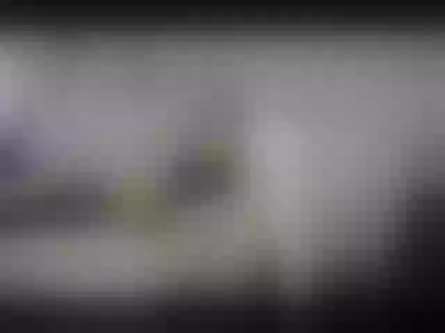 Live sex webcam photo for Alexbibi #258101769