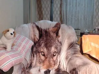 Live sex webcam photo for Katernia48 #240810382