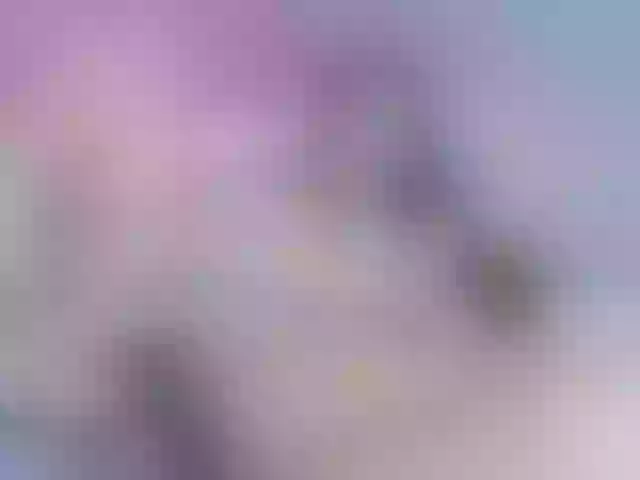 Live sex webcam photo for lizzarobert #255625576