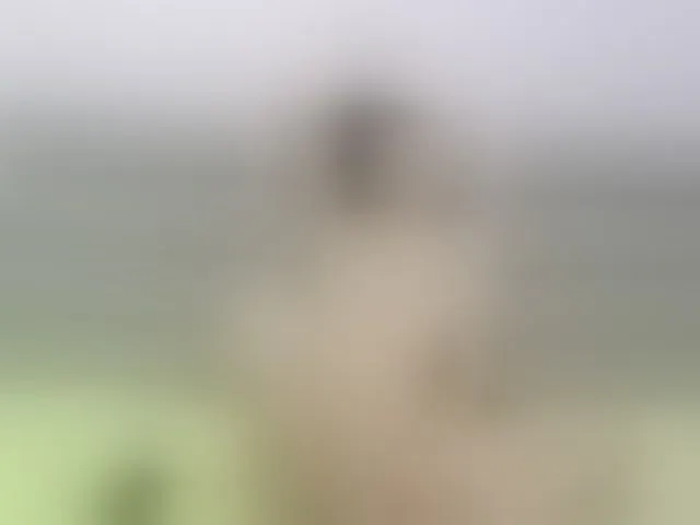 Live sex webcam photo for AnyGreen #241066372