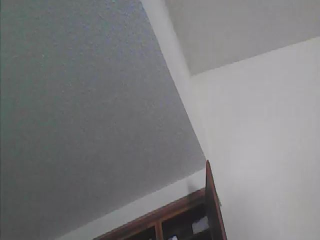 Live sex webcam photo for Calibands #252285289