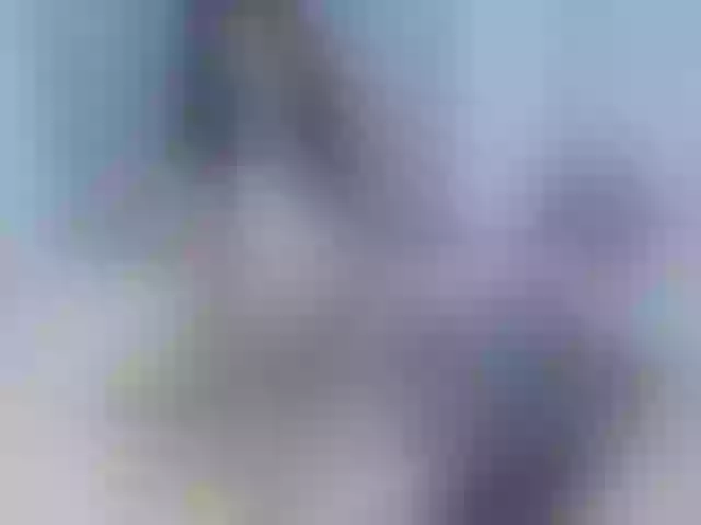Live sex webcam photo for STEFANYALOVE #257223300