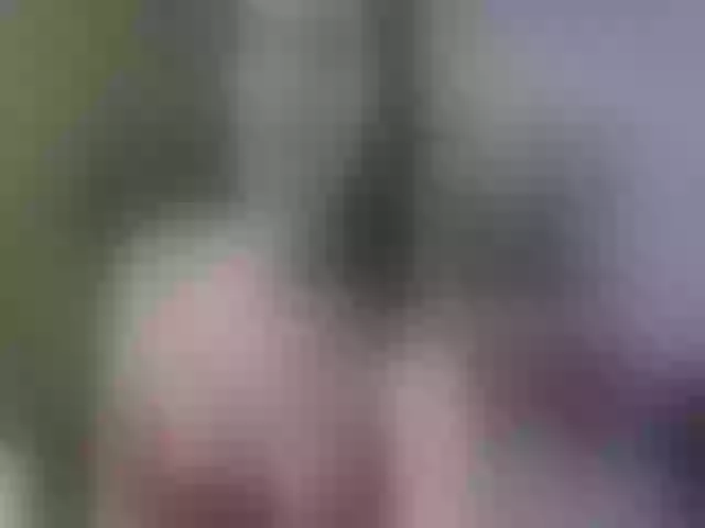 Live sex webcam photo for Evelynevi #252362960
