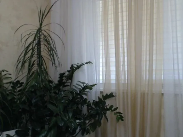 Live sex webcam photo for Mariskakiska #257481305