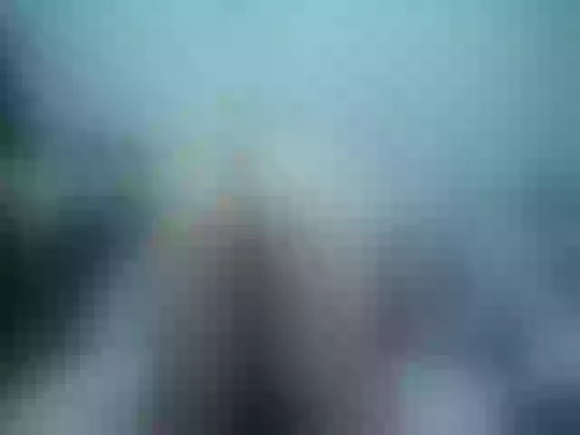 Live sex webcam photo for Girlhornyx20 #256439940