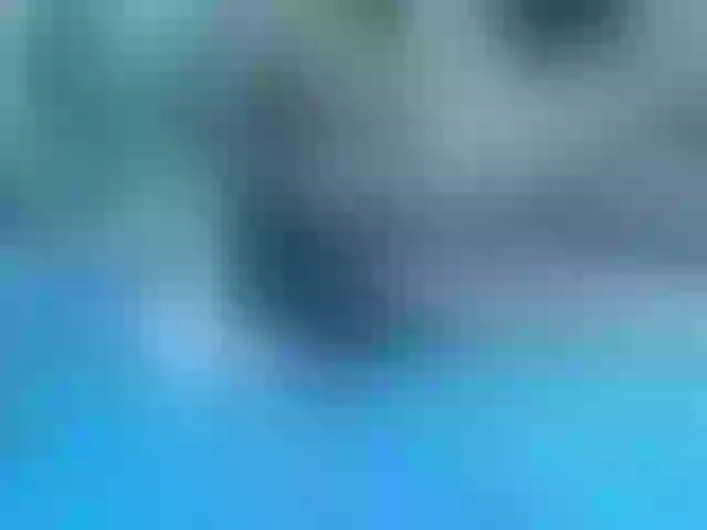 Live sex webcam photo for cheaptipmenu #241040032