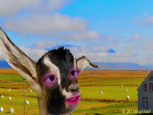 Live sex webcam photo for MinnieMoralia #254305894