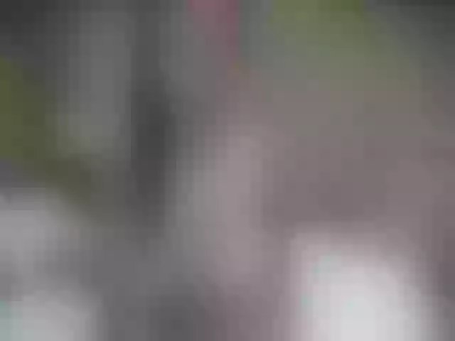 Live sex webcam photo for QuinnGray #252371032