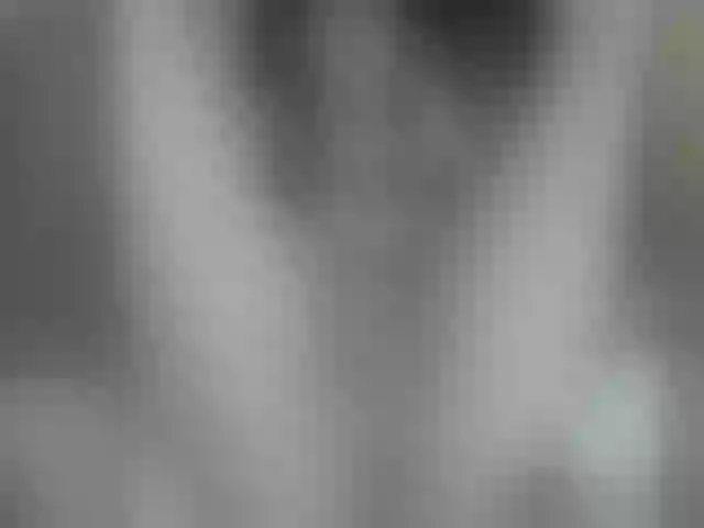 Live sex webcam photo for Meli_83 #257101241