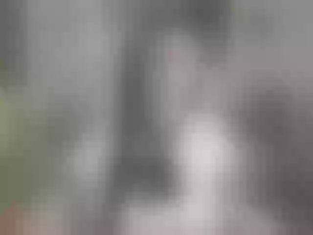 Live sex webcam photo for LexieBrooke #241356902