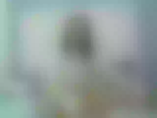 Live sex webcam photo for rose-2526 #241013850