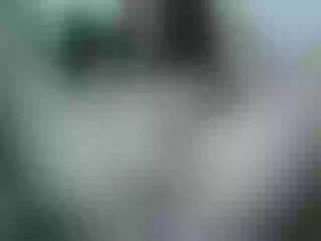 Live sex webcam photo for Kenzie_leigh #253900640
