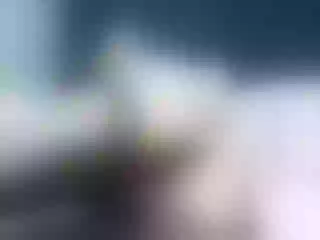 Live sex webcam photo for Ellaquality #258167240