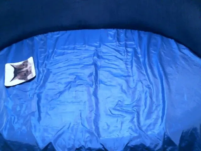 Live sex webcam photo for MagnoliaVS #253332339
