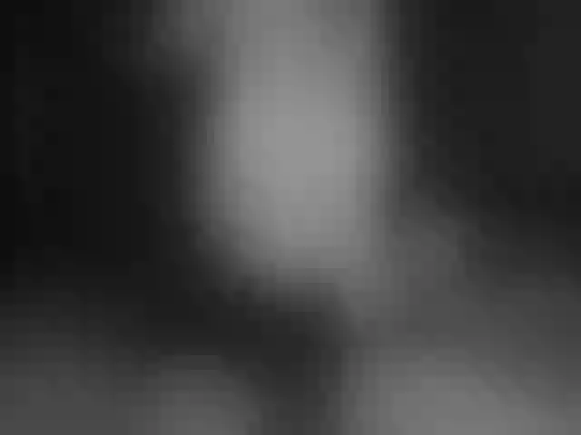 Live sex webcam photo for Jelonni #241275684