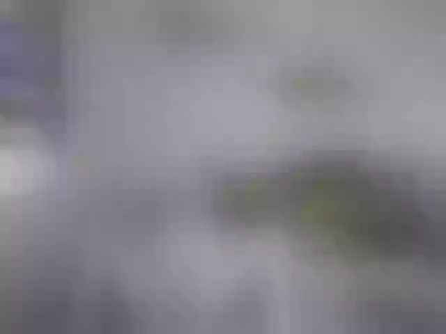 Live sex webcam photo for jennifer1177 #262168241