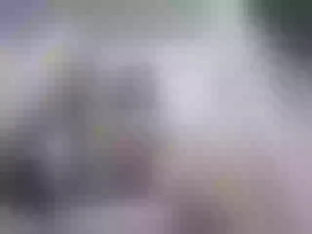 Live sex webcam photo for Girasolwalton #252524335