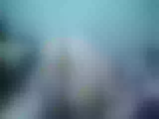 Live sex webcam photo for Girlhornyx20 #258305003