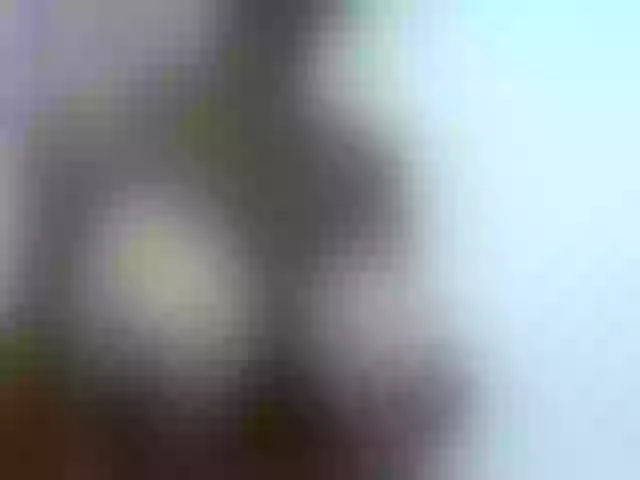 Live sex webcam photo for dana_horny #261992034