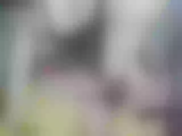 Live sex webcam photo for VitaCraft_ #255259433