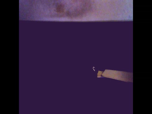 Live sex webcam photo for Sexygeny #259834425