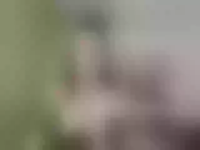 Live sex webcam photo for Evelynevi #252999304