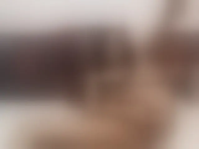 Live sex webcam photo for Kaly2019 #241184371