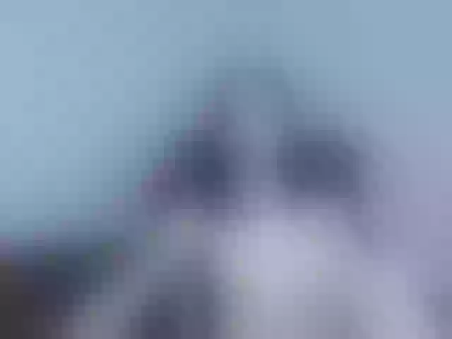 Live sex webcam photo for Evelyn7 #240904467