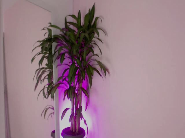 Live sex webcam photo for Saracas #255811567