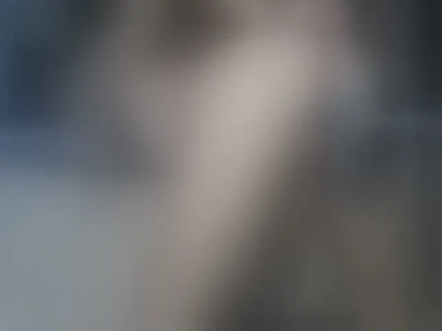 Live sex webcam photo for hotCarlaXO #262748440