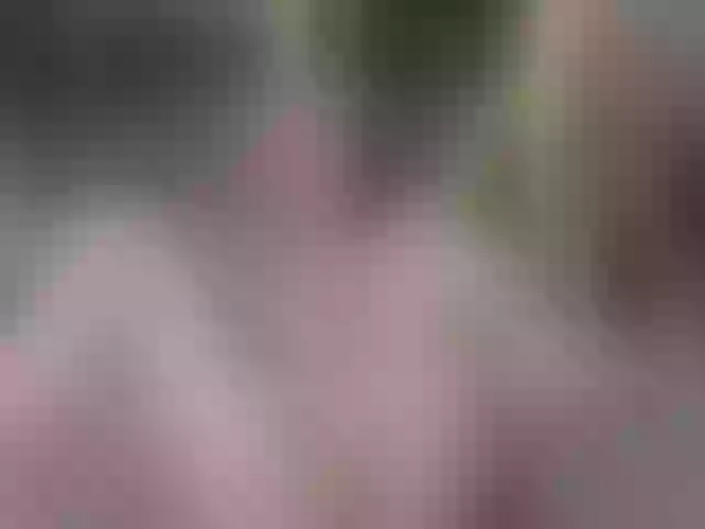 Live sex webcam photo for DiddySweet1 #241435490