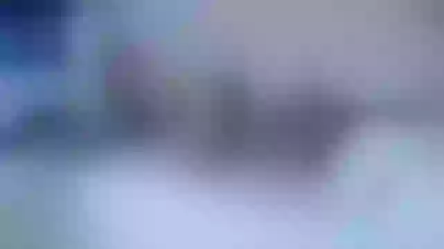Live sex webcam photo for MilaRox #244170887