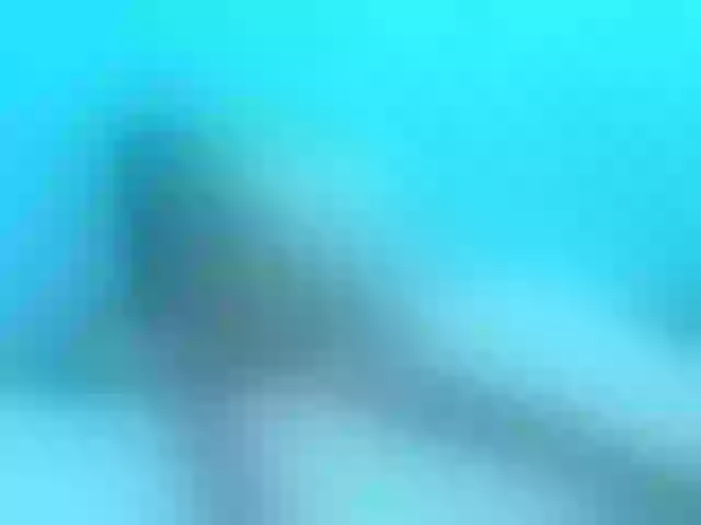 Live sex webcam photo for AgathaBlair #240894698
