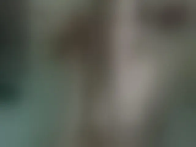 Live sex webcam photo for Misssexyvegas #252746294