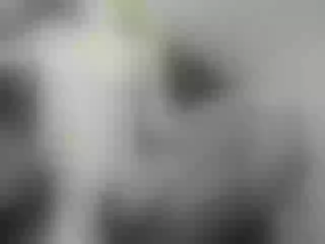 Live sex webcam photo for ego777me #287981581