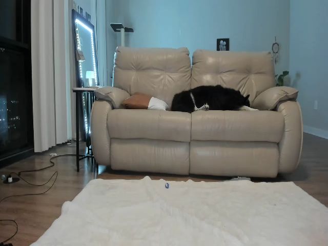 Live sex webcam photo for Belphoebe #263545883