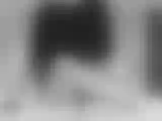 Live sex webcam photo for volturi66- #240709761