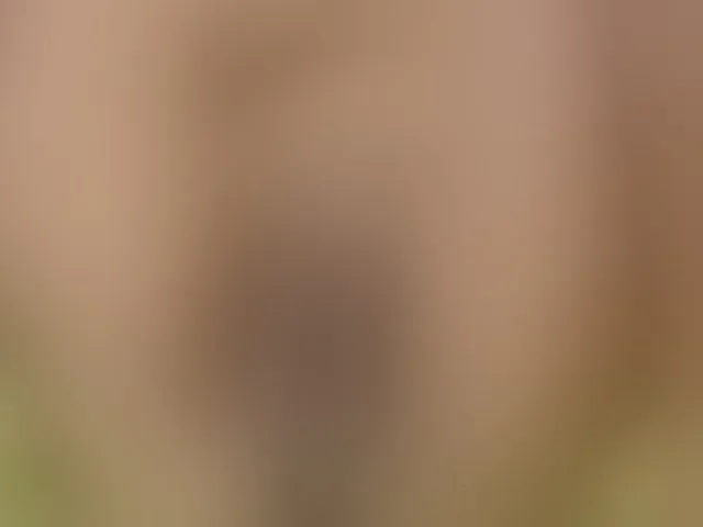 Live sex webcam photo for boundlessfu #257388438