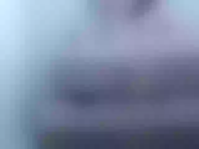 Live sex webcam photo for Shanel_bigass #258188928
