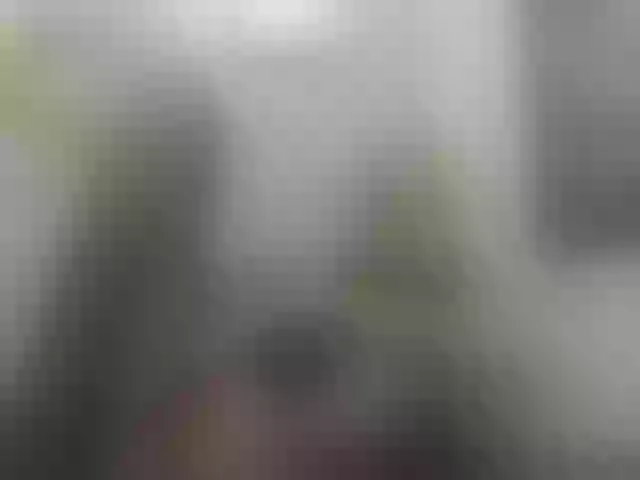 Live sex webcam photo for NoemyAndLian #254864639