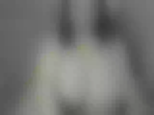 Live sex webcam photo for smuglaea #240886954