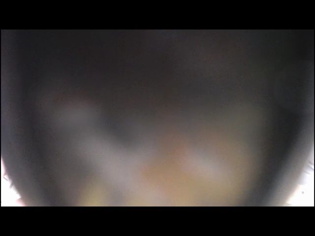 Live sex webcam photo for CrytalMilf #264233543